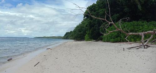 a beach with a tree on the side of the water at manyaifun guest house in Minyaifuin