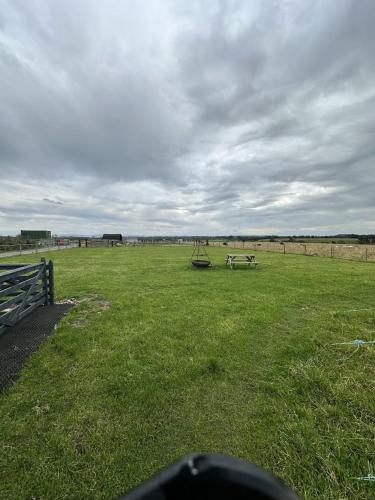 a field with a bench and a horse in it at Unit 0 - Fully Serviced All Weather Pitch with Hot Tub in Great Orton