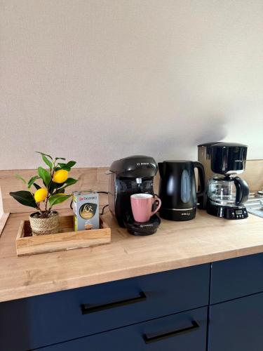 a counter with two coffee pots and a plant on it at Appartement lumineux 4 personnes, Puy Mary in Le Monteil