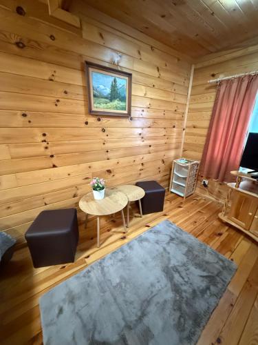 Χώρος καθιστικού στο Alpine ski chalet Borovets with sauna