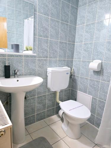 un bagno con un water e un lavandino di Pensiunea Valea Alba a Buşteni