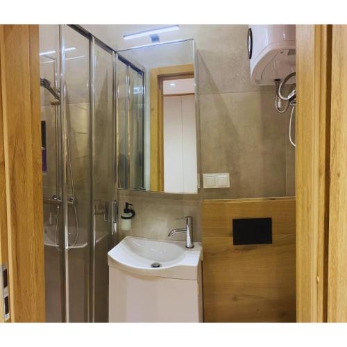 a bathroom with a sink and a shower at Studio LOFT right in the center in Skorka
