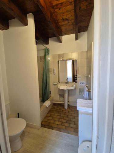 a bathroom with a sink and a shower and a toilet at La Roche du Marais in Omonville-la-Petite