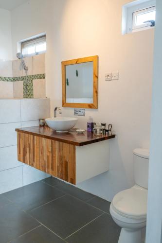 a bathroom with a sink and a toilet at Villa Charlotte in Port Mathurin