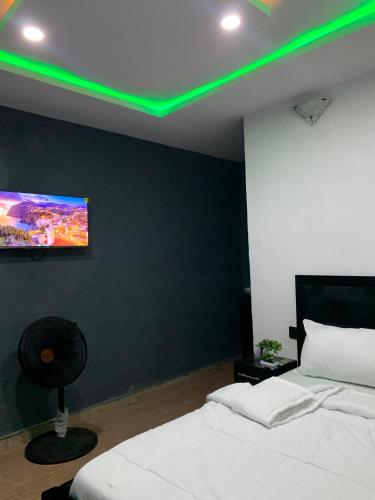 Un dormitorio con una cama blanca y un techo verde. en Igbadun Lodge and Bar, en Ado Ekiti