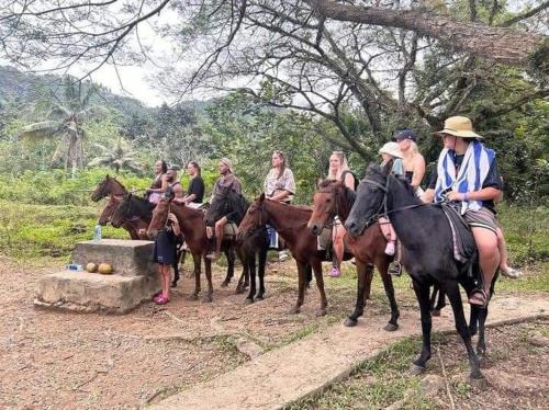 a group of people riding horses on a dirt road at Sigatoka Town Home in Coral Coast in Singatoka