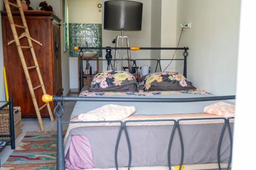 site paradis rue colibri