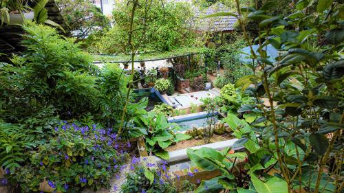 a garden with lots of plants and flowers at Highlanders Garden Guesthouse at Arundina Cameron Highlands in Cameron Highlands