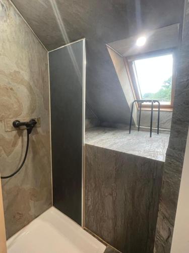 a bathroom with a shower with a bed in it at Gemütliche Wohnung im 2OG Haus zur Vulkaneifel Brohl in Brohl-Lützing