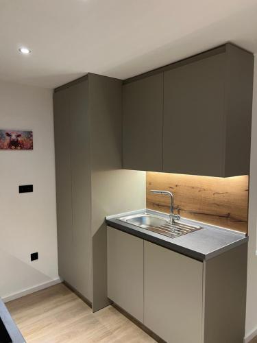 Kuchyň nebo kuchyňský kout v ubytování Ferienwohnung Allgäu Hideaway