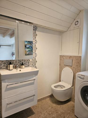 a bathroom with a toilet and a sink and a washing machine at UNIKT studio med PRAGTFULD udsigt og absolut RO in Frederikshavn