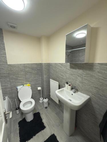 a bathroom with a toilet and a sink at Luxury 2-Bedroom Home 10 Minutes from Birmingham City Centre in Birmingham