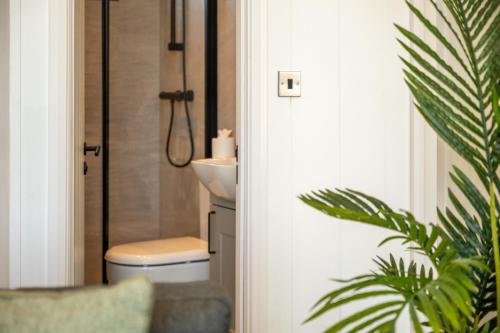 Un baño con ducha, inodoro y lavabo. en Stylish 3-bed Lodge With Golf & Spa Access, en Hemborough Post