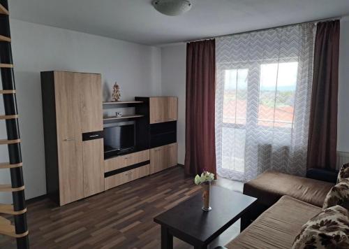 een woonkamer met een bank, een tv en een tafel bij LCB Apartments Braşov in Braşov