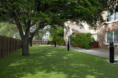 a tree in the middle of a green lawn at Residence Inn by Marriott San Antonio Airport/Alamo Heights in San Antonio