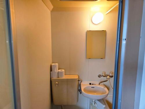東京にあるホテルレスポワール305のトイレと洗面台のある小さなバスルーム