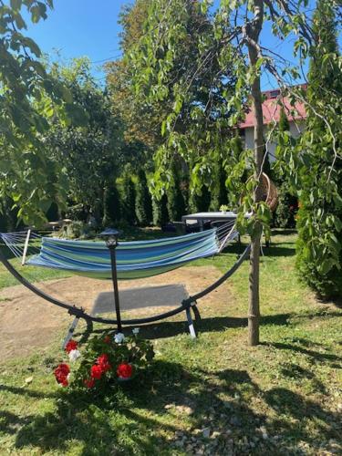 Κήπος έξω από το Dom Wakacyjny Gajówka z ogrodem i jacuzzi do stoku 2km