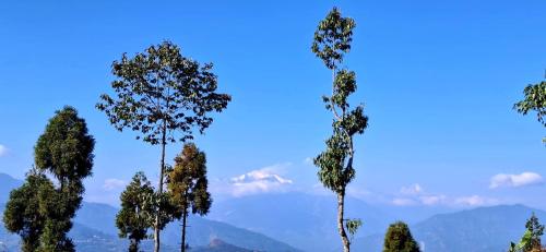 a group of trees with mountains in the background at Fikkalaygaon Homestay By AALEKH in Kalimpong