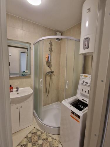 a small bathroom with a shower and a sink at FB Apartaments in Plungė