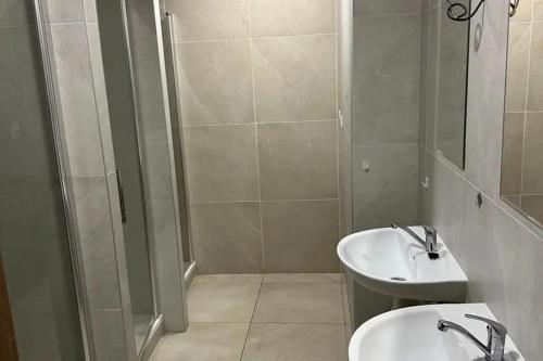 un baño con lavabo y ducha en Meštiansky dom, en Stupava