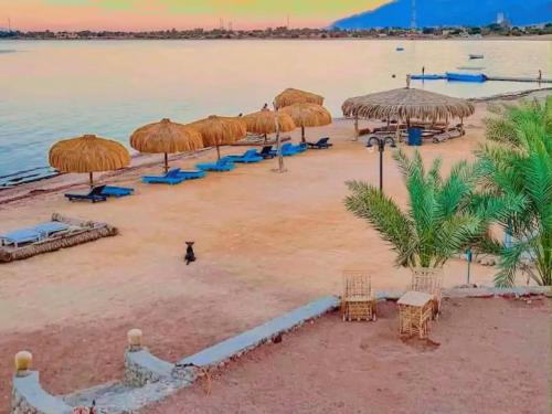 a beach with straw umbrellas and chairs on it at Mermaid camp in Nuweiba