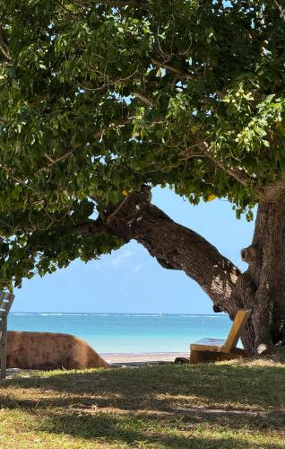 a tree on the beach with the ocean in the background at Seaside Villa 1 & Seaside Villa 2 at 'Tamani' in Diani Beach