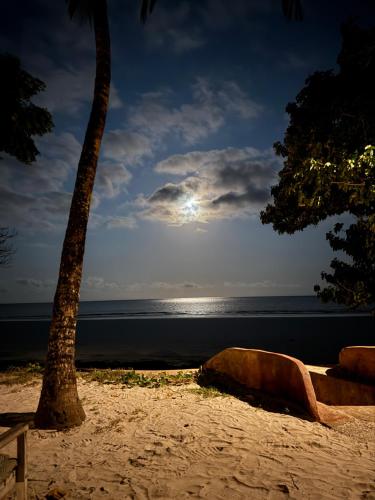 a beach with a tree and the ocean at night at Seaside Villa 1 & Seaside Villa 2 at 'Tamani' in Diani Beach