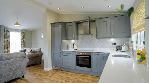 a kitchen with gray cabinets and a living room at Chestnut Meadow Country Park in Sidley
