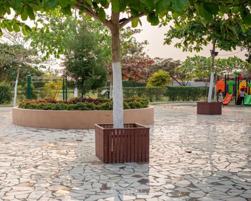 a tree in a pot on a stone ground at Cassoma House in Luanda