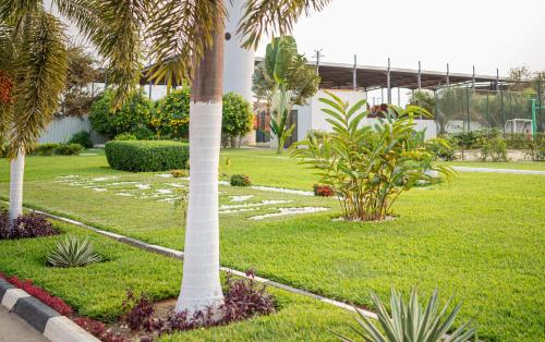 a palm tree in the middle of a park at Cassoma House in Luanda