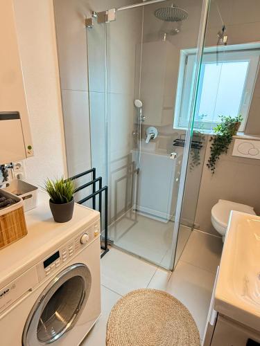 a washing machine in a bathroom with a shower at Appartement Turan in Friedrichshafen