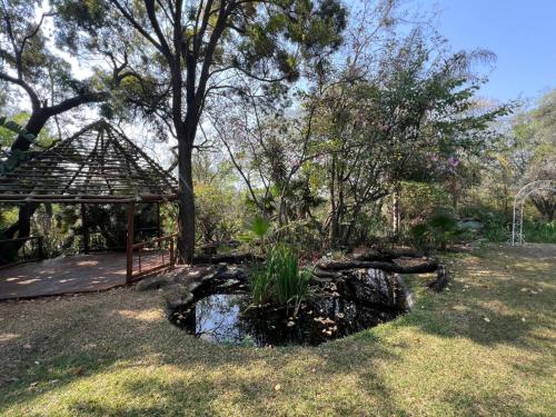 PelindabaにあるMotozi Lodgeの池と展望台のある庭園