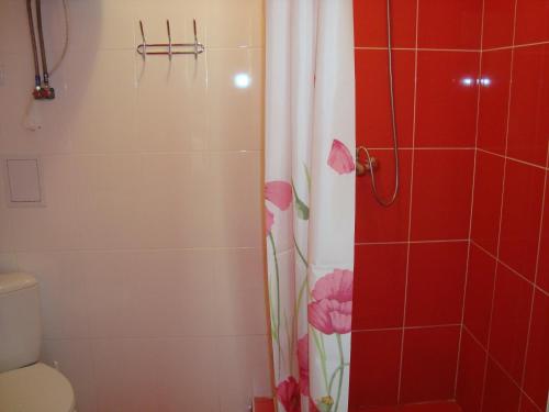 日托米爾的住宿－Hostel Sofia，浴室设有鲜花和淋浴帘。
