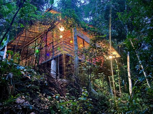a house in the middle of a forest at night at Riverston Water Front Villa in Rattota