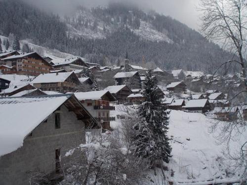 Chalet 2 Pièces, 6 Pers., Proche Centre et Pistes, Balcon Sud/Est, Parking, Animal Admis
