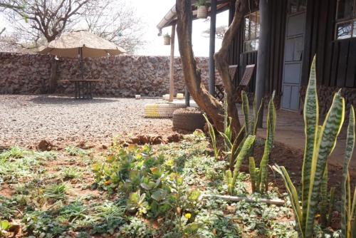 Taman di luar Oldonyo Musa Camp Amboseli