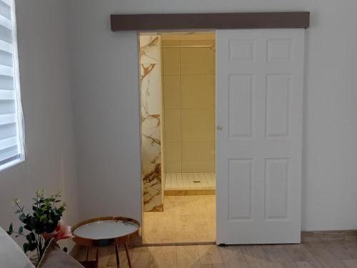 a bathroom with a white door and a mirror at The Amaryllis Guest House in Mariental