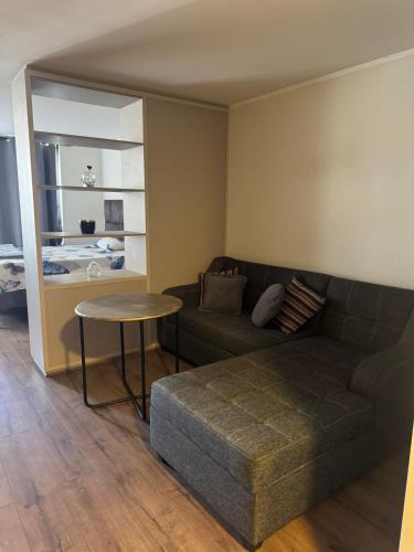 a living room with a couch and a table at Amplio Apartaestudio in Santiago
