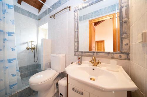 a bathroom with a sink and a toilet and a mirror at Kamini by Vintage Travel in Dhefaranáta