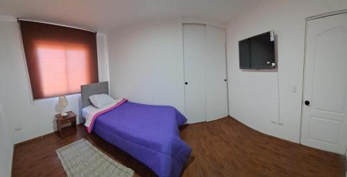 Μια τηλεόραση ή/και κέντρο ψυχαγωγίας στο hostal sector sur equipped