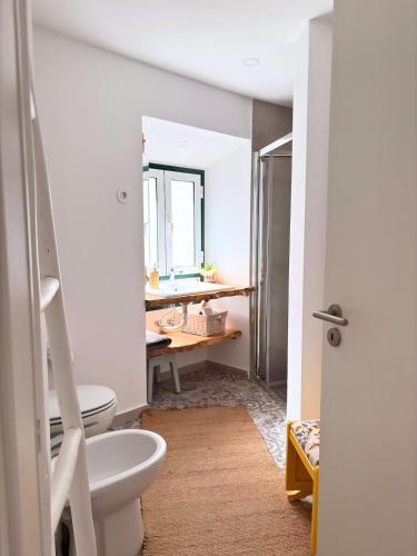 a bathroom with a toilet and a sink and a mirror at Casa Milamores Constância in Constância
