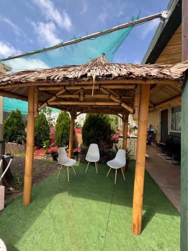 Taman di luar Sunflower Homes Green and Cozy