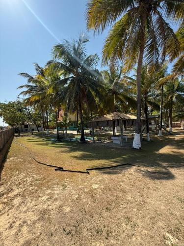 a beach with palm trees and a hammock at Chalé Morada da Fê in Praia de Moitas