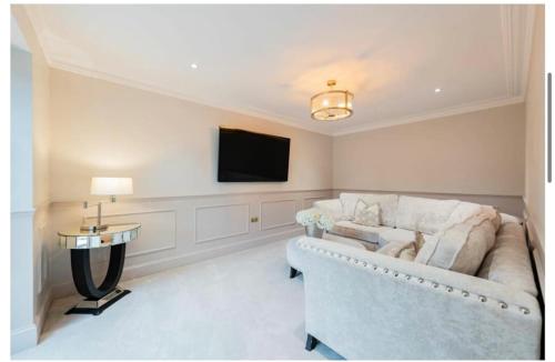 a living room with a couch and a tv at Health & Wellness House Hot Tub, Sauna & Ice Bath in Netley