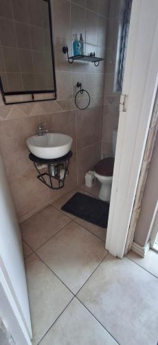 a bathroom with a sink and a toilet at Pug's Room in Welgemoed