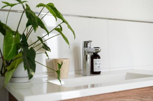 a plant sitting on a counter next to a sink at Paso Calmo Cabañas in Villa General Belgrano