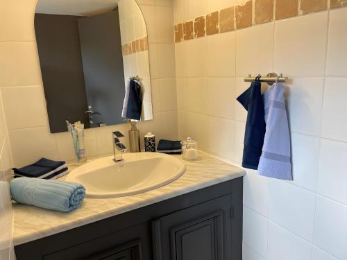 une salle de bain avec un lavabo et un miroir dans l'établissement Gite Bleu - Paradis de Provence, à Le Pin