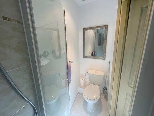 une salle de bain blanche avec toilettes et douche dans l'établissement Gite Lavande - Paradis de Provence, à Le Pin