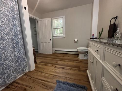 a bathroom with a toilet and a window at Farmhouse by Ricketts Glen in Benton