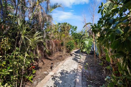 a path through a garden with trees and plants at Siesta Dreamin' in Siesta Key
